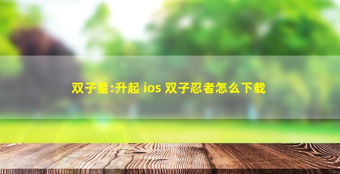 双子星:升起 ios 双子忍者怎么下载